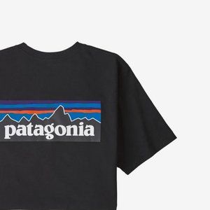 Patagonia Responsibili-Tee